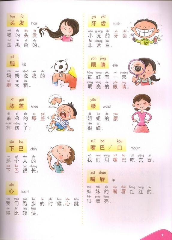 Chinese Theme - based Dictionary for Sentence Building 新世纪学生造句词典 - Xihaha Limited