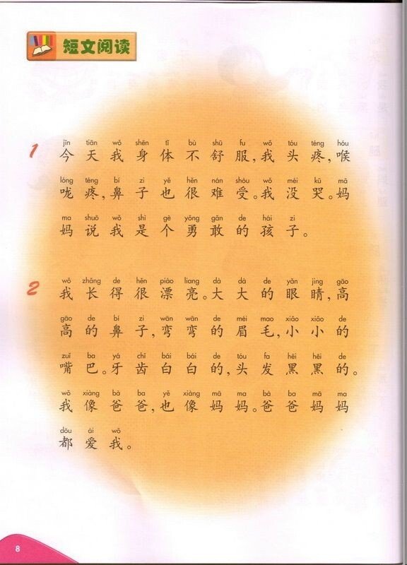 Chinese Theme - based Dictionary for Sentence Building 新世纪学生造句词典 - Xihaha Limited