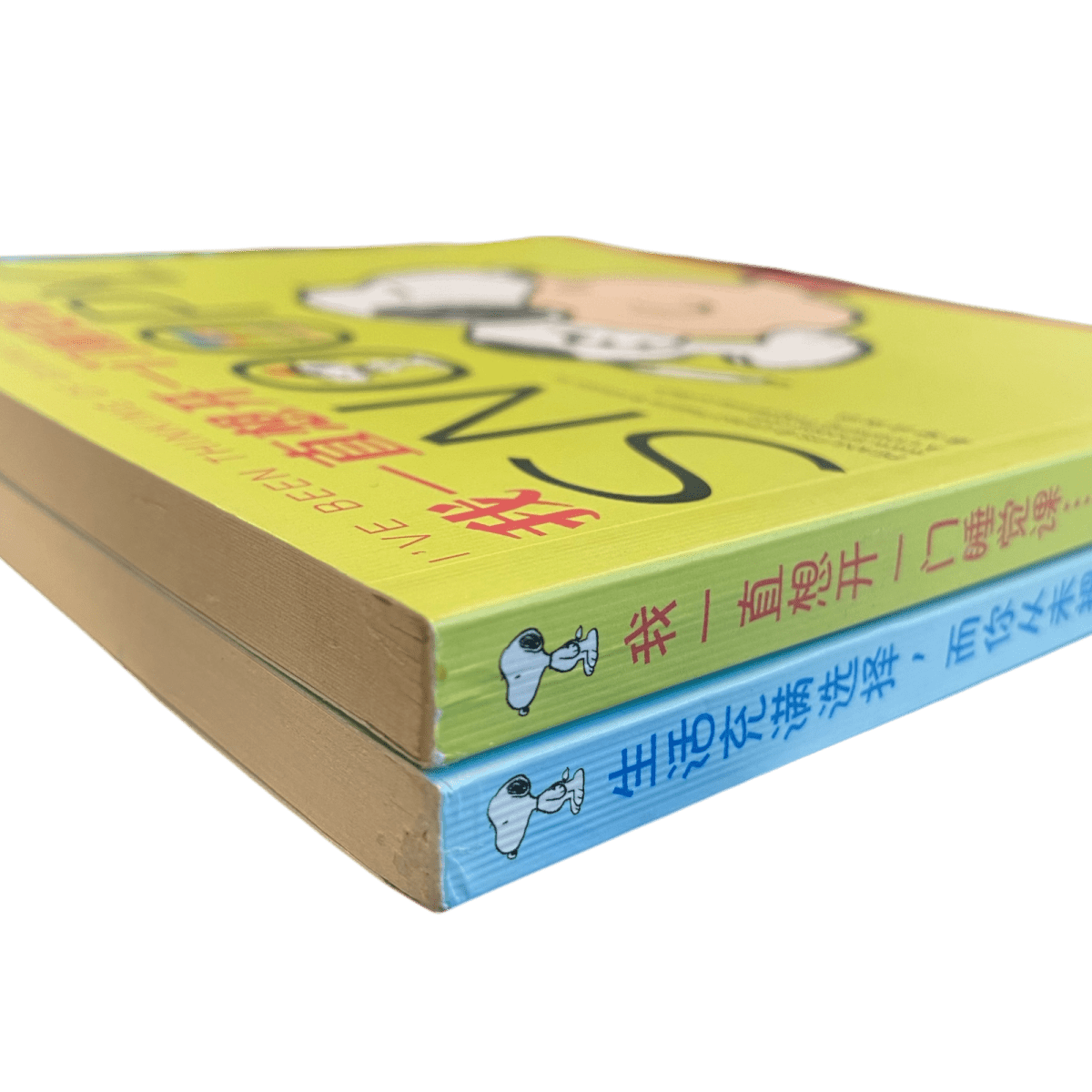 Snoopy Chinese Edition Comic Books – Set of 2 - Xihaha Oriental Food & Gifts