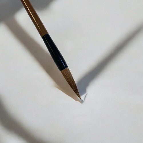 10pcs Chinese Calligraphy Brush Kanji Brushes Pens - Xihaha Limited