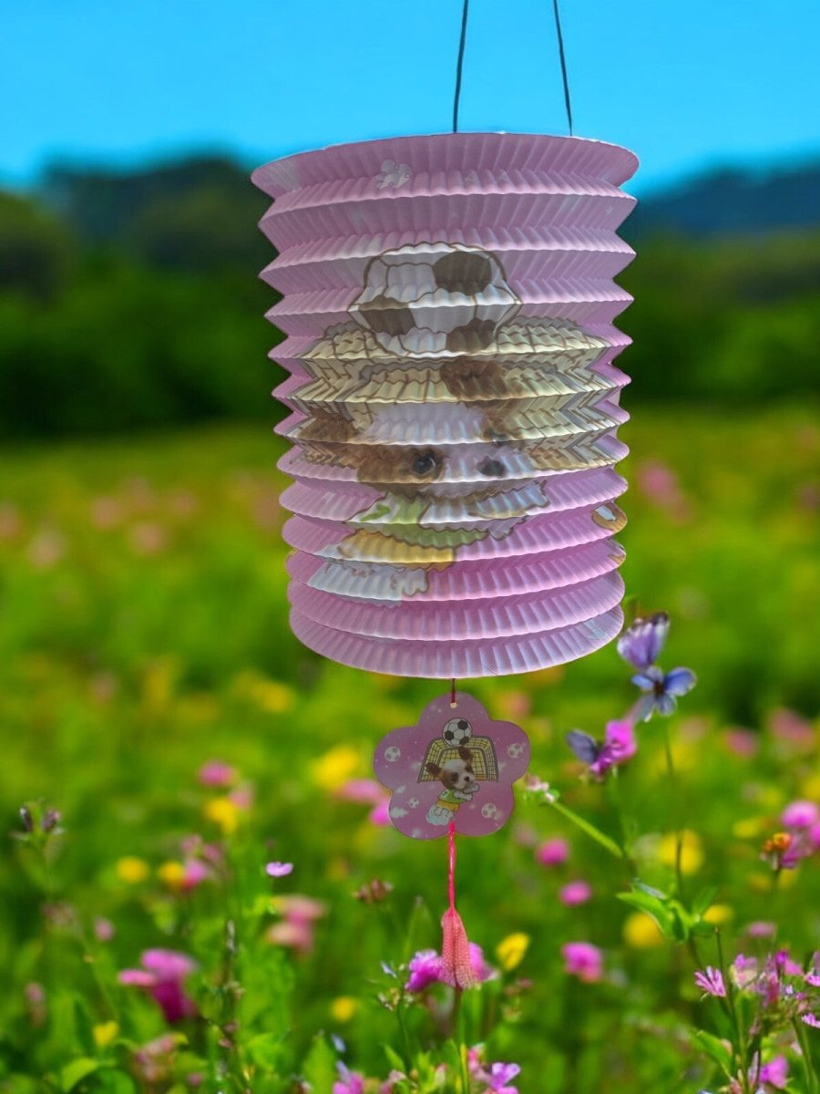 12pcs Traditional Chinese Paper Lanterns Mid Autumn Festival Party Lanterns - Xihaha Limited