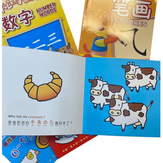 5 x Chinese Kids Learning Books Writing Numbers Baby Bilingual Set - Xihaha Oriental Food & Gifts